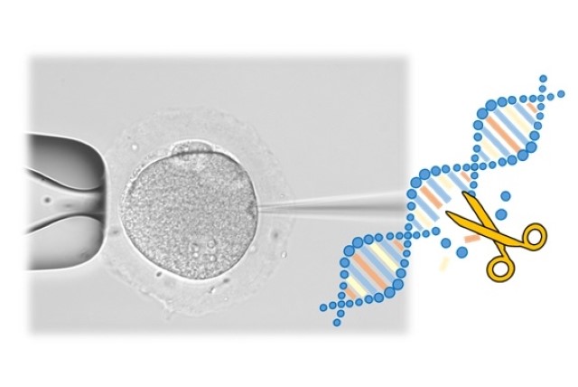 応用ゲノム科学_英語