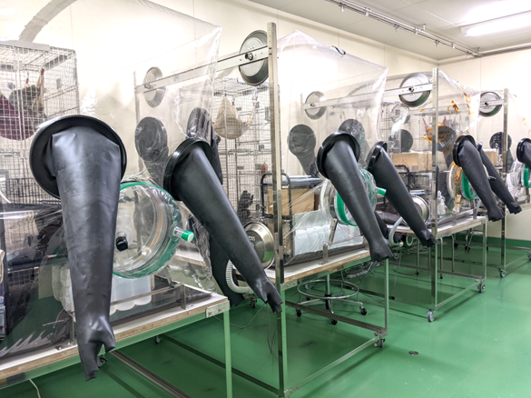 微生物制御_英語