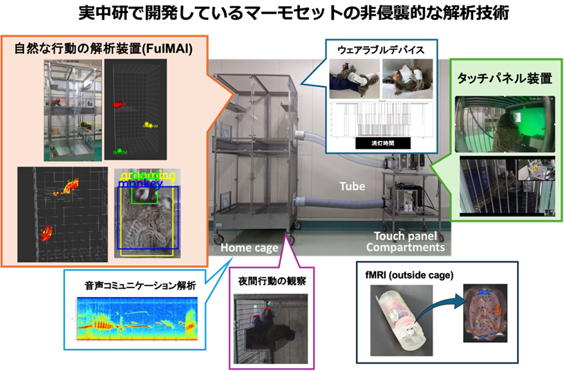 行動動態学研究室画像